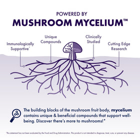 Host Defense MycoBrew Matcha ingredients label highlights organic matcha and mushroom mycelium.