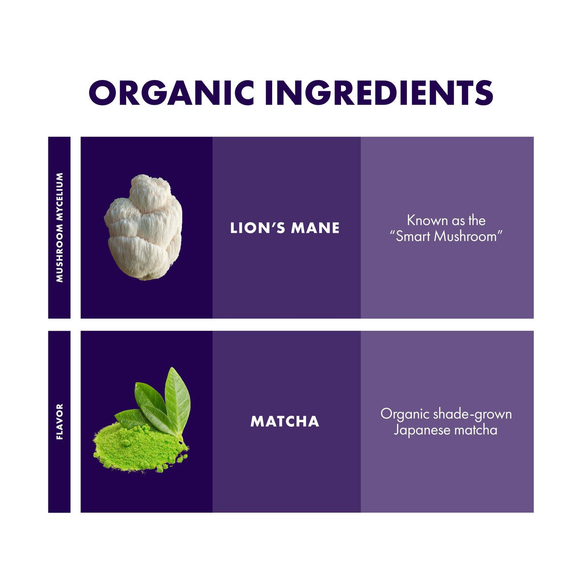 Host Defense MycoBrew Matcha latte foam reveals creamy texture.