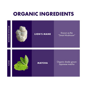 Host Defense MycoBrew Matcha latte foam reveals creamy texture.