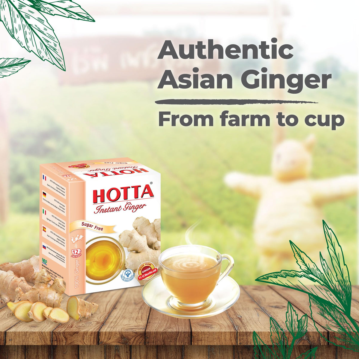 HOTTA ginger powder closeup highlights natural texture of real ginger.