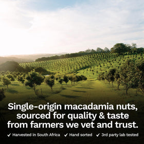 House of Macadamias in a bowl, showcasing creamy texture ideal for snacking.