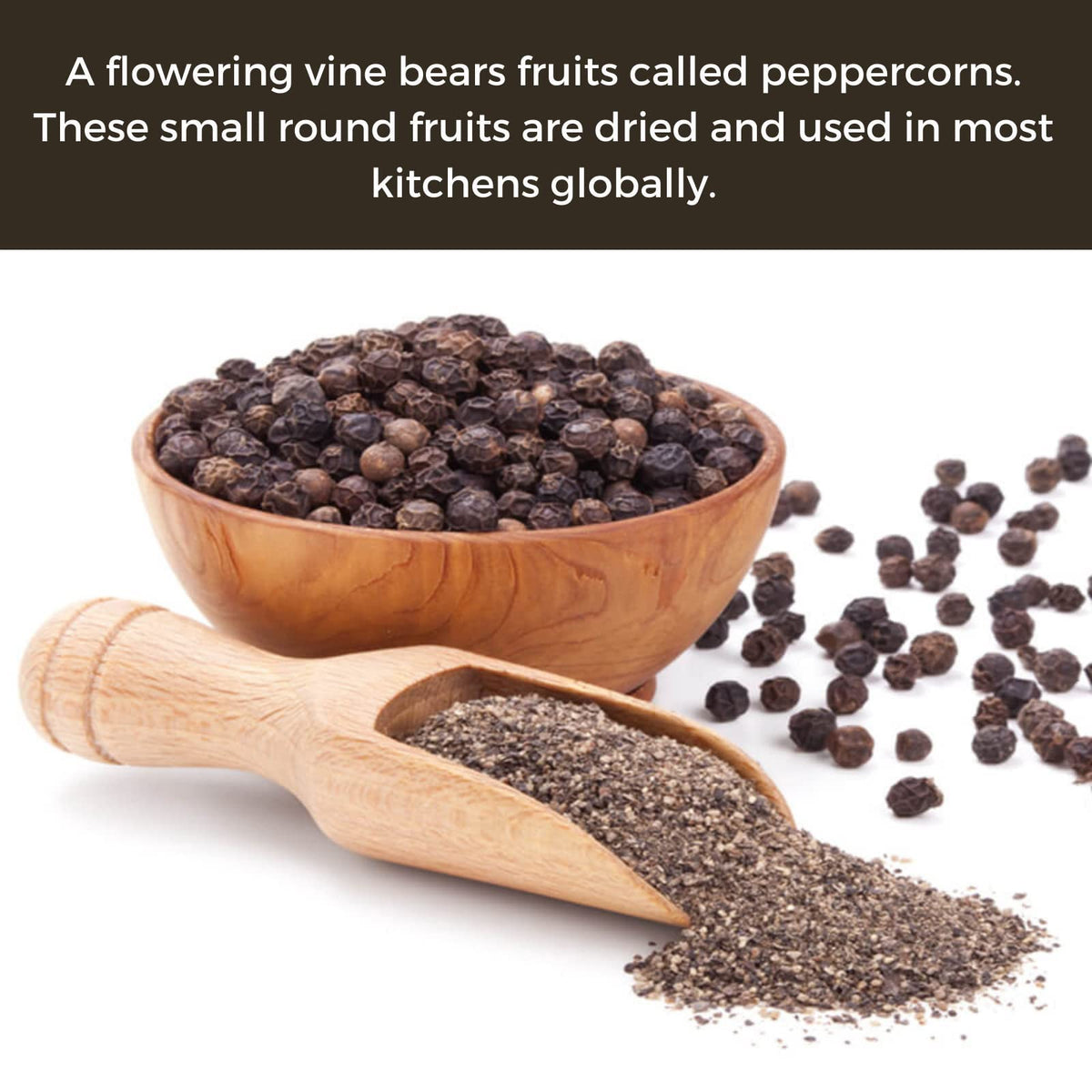 HQOExpress Fair wages and sustainable sourcing support responsible pepper cultivation.