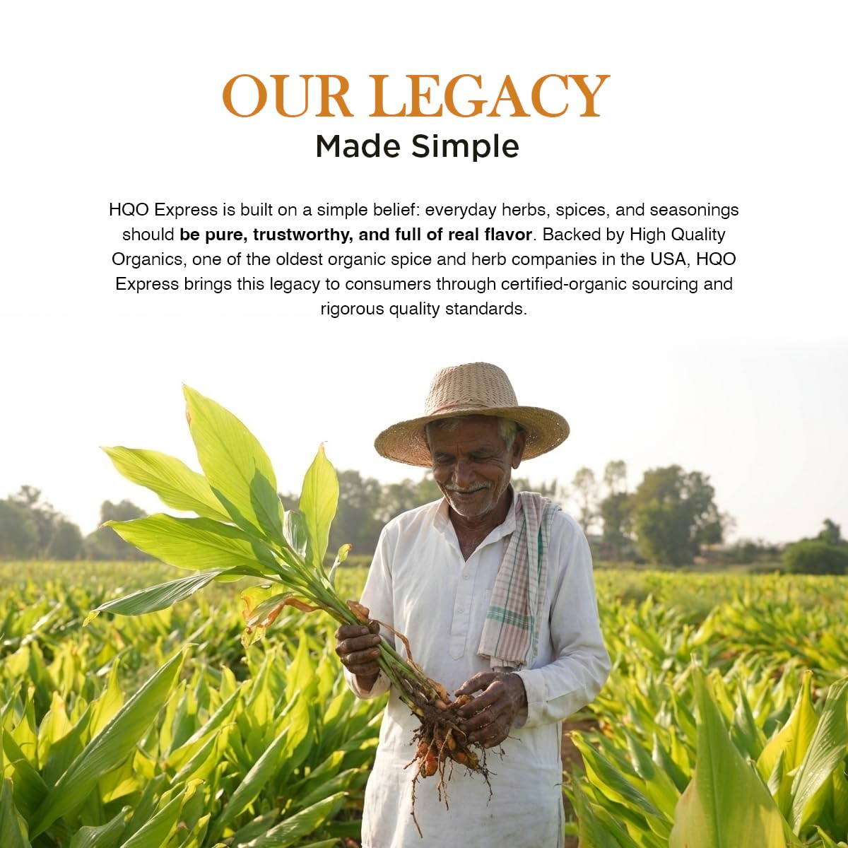 HQOExpress farm-to-table traceability map indicating origin of turmeric.