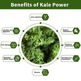 Hudetex Kale Powder with measuring spoon for easy servings