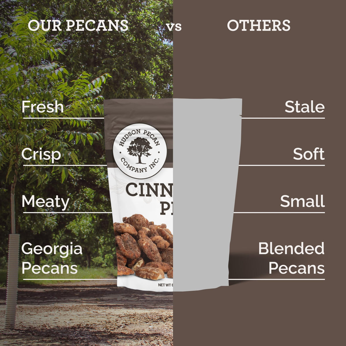 Hudson Pecan Cinnamon Candied Pecans served as a convenient snacking option.