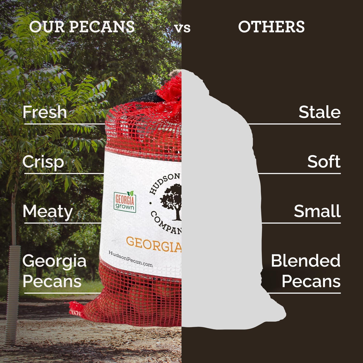 Hudson Pecan Company salad topping pecans add crunch and nutrition
