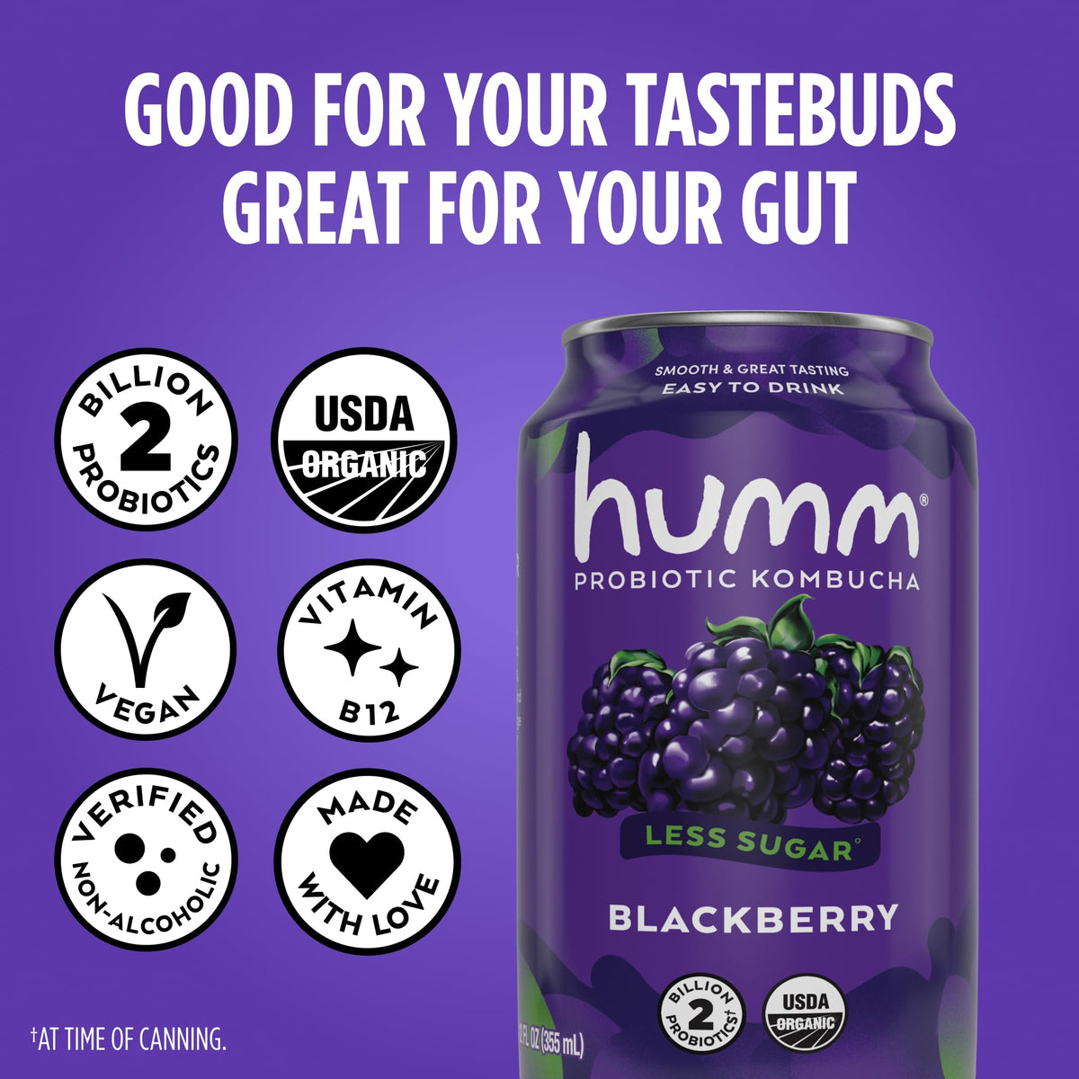 Humm Blackberry pack shot emphasizes 12-pack convenience for on-the-go sipping.