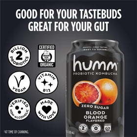 Humm vitamin B12 kombucha can provides a daytime energy boost