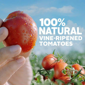 Hunt's Tomato Sauce served with pasta dish highlights versatile use.