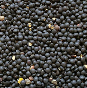 Hunza Black Beluga Lentils dry beans close-up showing glossy, bead-like texture.