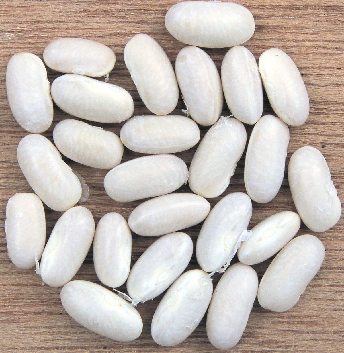 Hunza Organic Cannellini Beans packaging with stand-up pouch preserves freshness