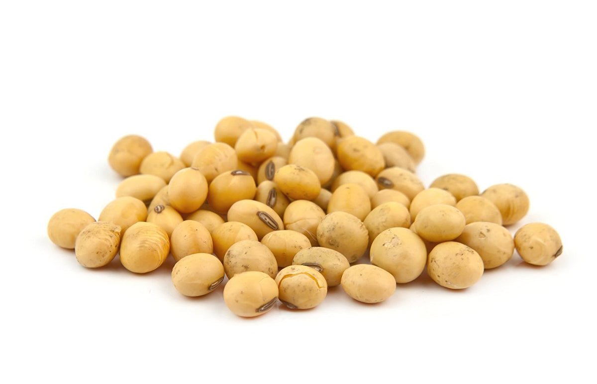 Hunza Organic Soybeans support meat-free diets as a versatile protein.