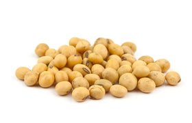 Hunza Organic Soybeans support meat-free diets as a versatile protein.