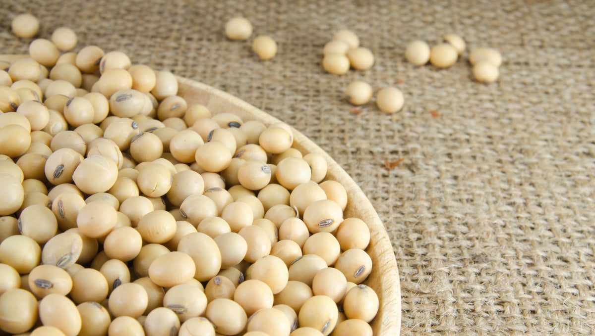 Hunza Organic Soybeans suitable for high-heat cooking and robust flavors.