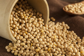 Hunza Organic Soybeans have Non-GMO status for vegan recipes.