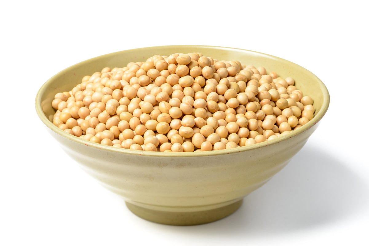 Hunza Organic Soybeans ideal for vegan milk base and creamy beverages.