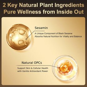 I WUGU bowl with five black superfoods highlights sesame richness
