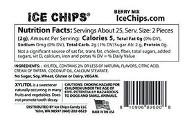 ICE CHIPS Root Beer Float tin with nostalgic flavor in a sugar-free form