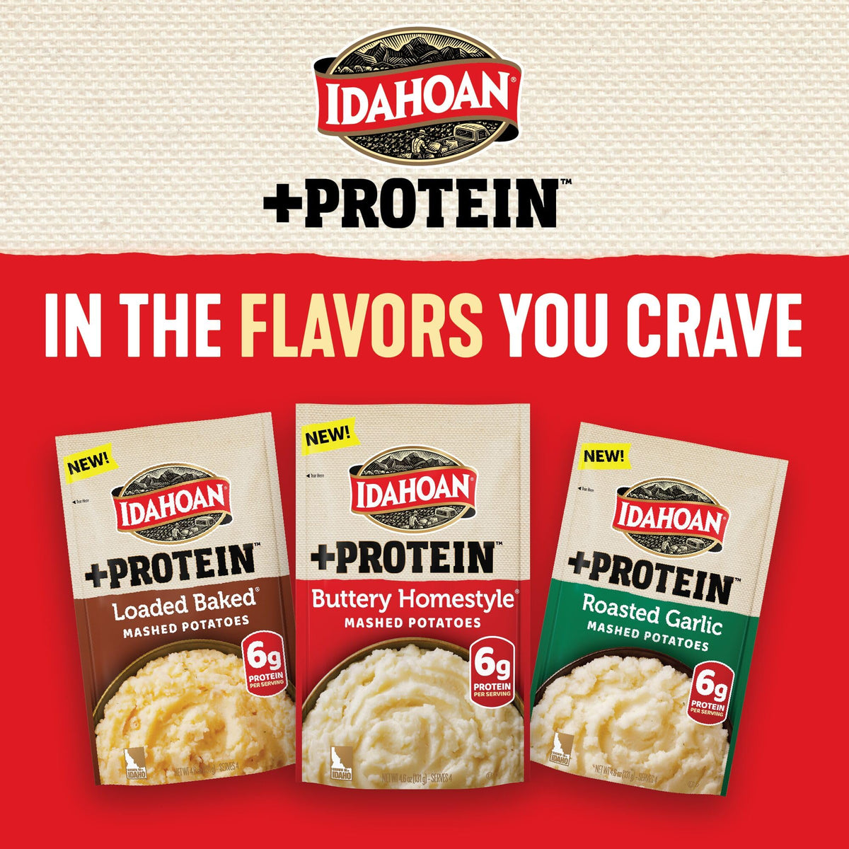 Creamy, smooth texture close-up of Idahoan Buttery Homestyle +Protein mashed potatoes.