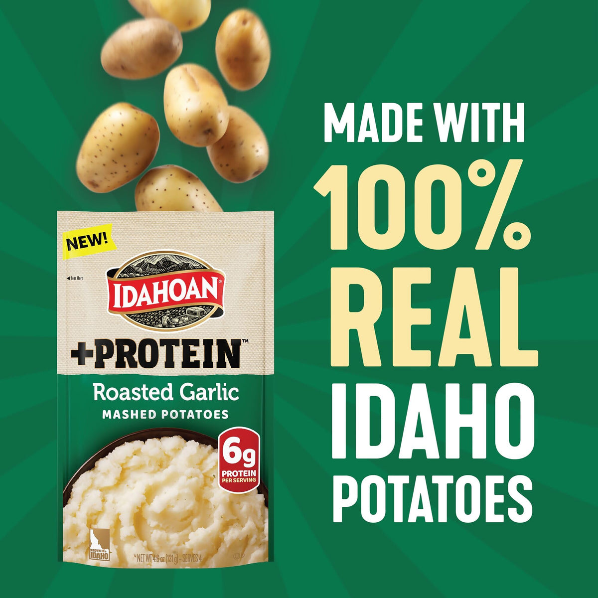 Idahoan Roasted Garlic +Protein mashed bowl steaming and ready to serve.
