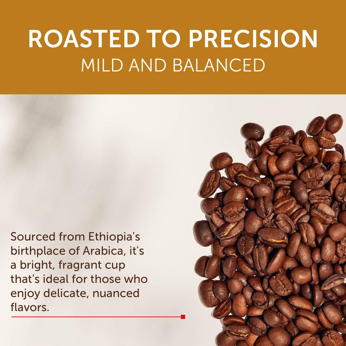 illy arabica beans close-up highlights meticulous selection for consistent flavor