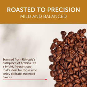 illy arabica beans close-up highlights meticulous selection for consistent flavor