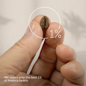 illy Arabica beans with warm cocoa and dried fruit notes for balance