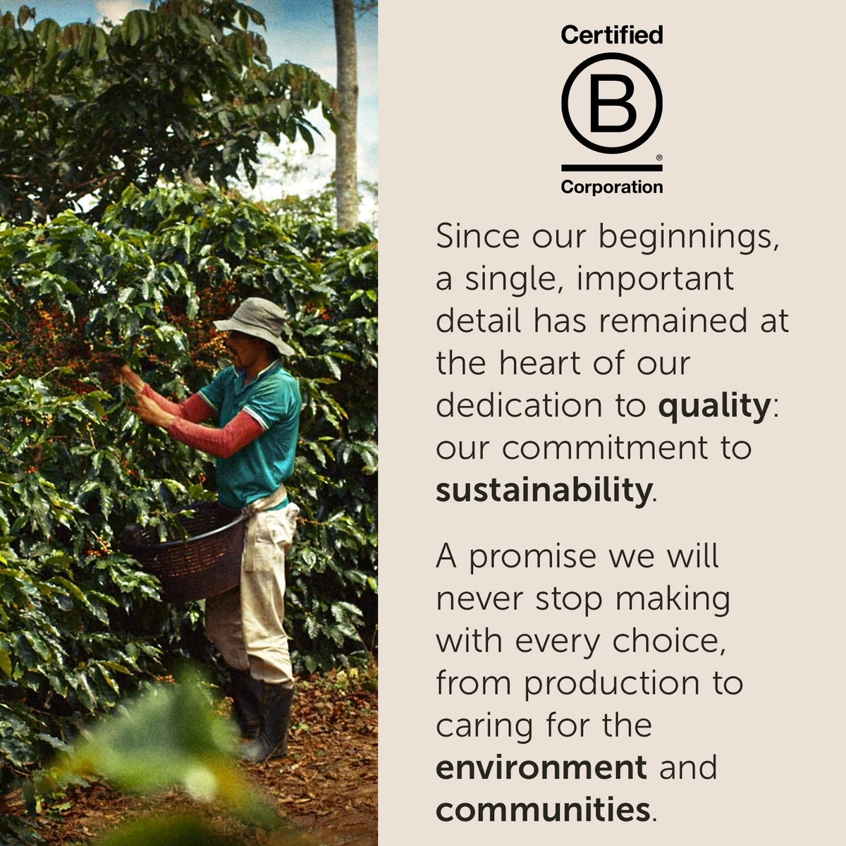 illy Arabica Selections Brasile brewing method display for convenient single-serve coffee
