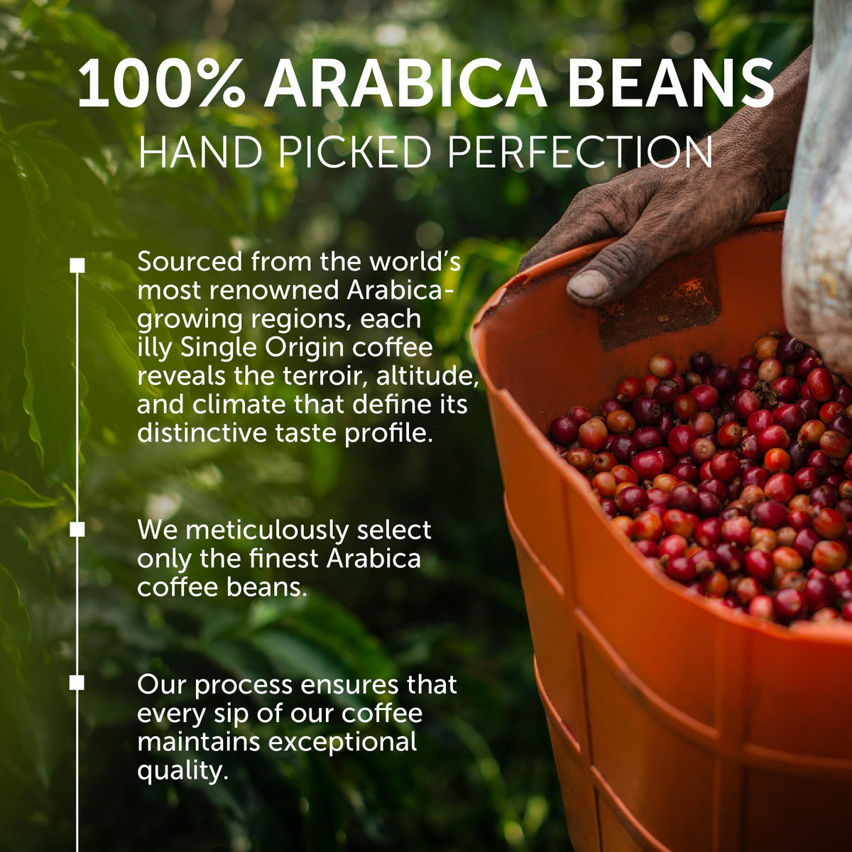 illy B Corp-certified coffee supporting sustainable farming practices