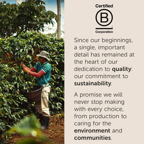illy can preserves aroma, illustrating long-lasting freshness for each pod.