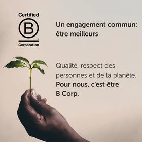 Sustainable illy farming with farmer networks and eco-friendly packaging.