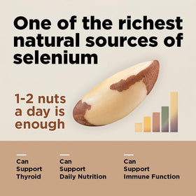 I'm A Nut Brazil nuts in a bowl, perfect for healthy fats and fiber.