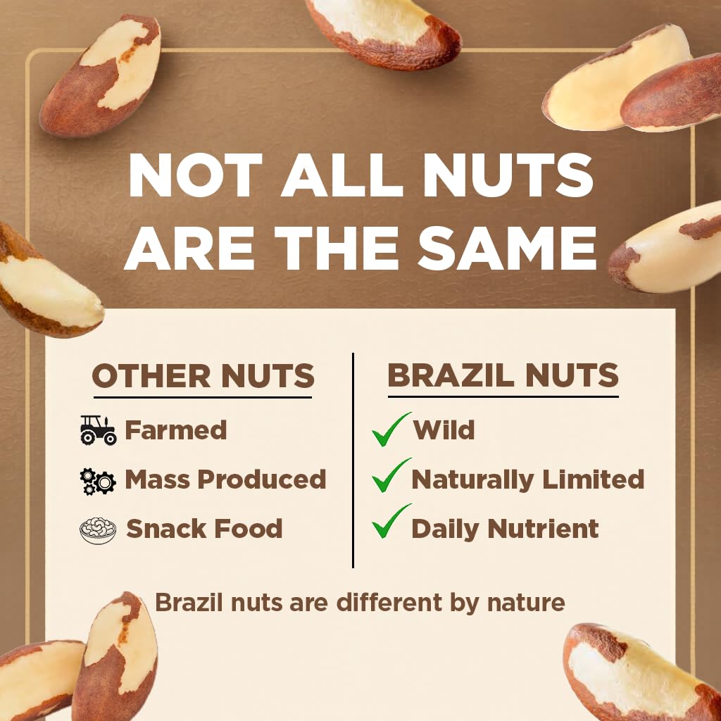 I'm A Nut Brazil nuts non-GMO label highlights natural sourcing