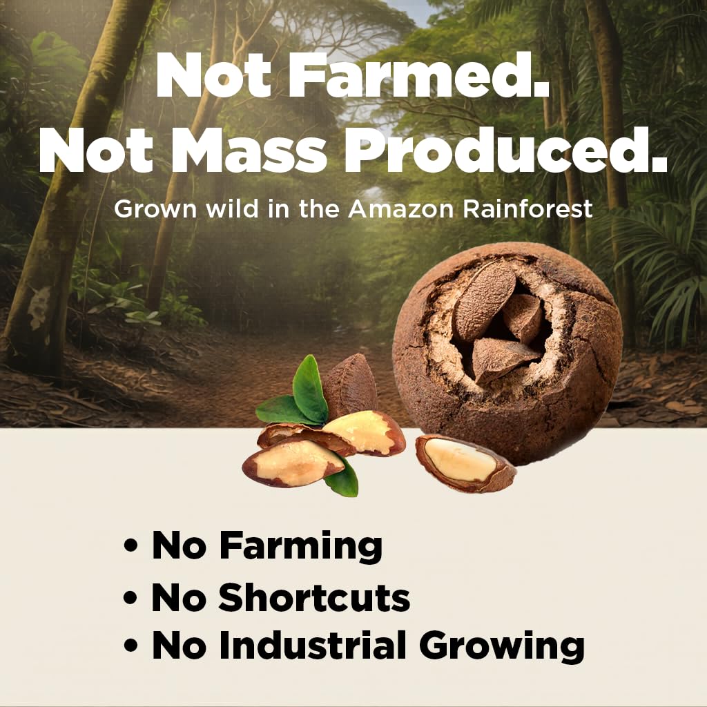 I'm A Nut gluten-free and peanut-free Brazil nuts for allergen-conscious diets.