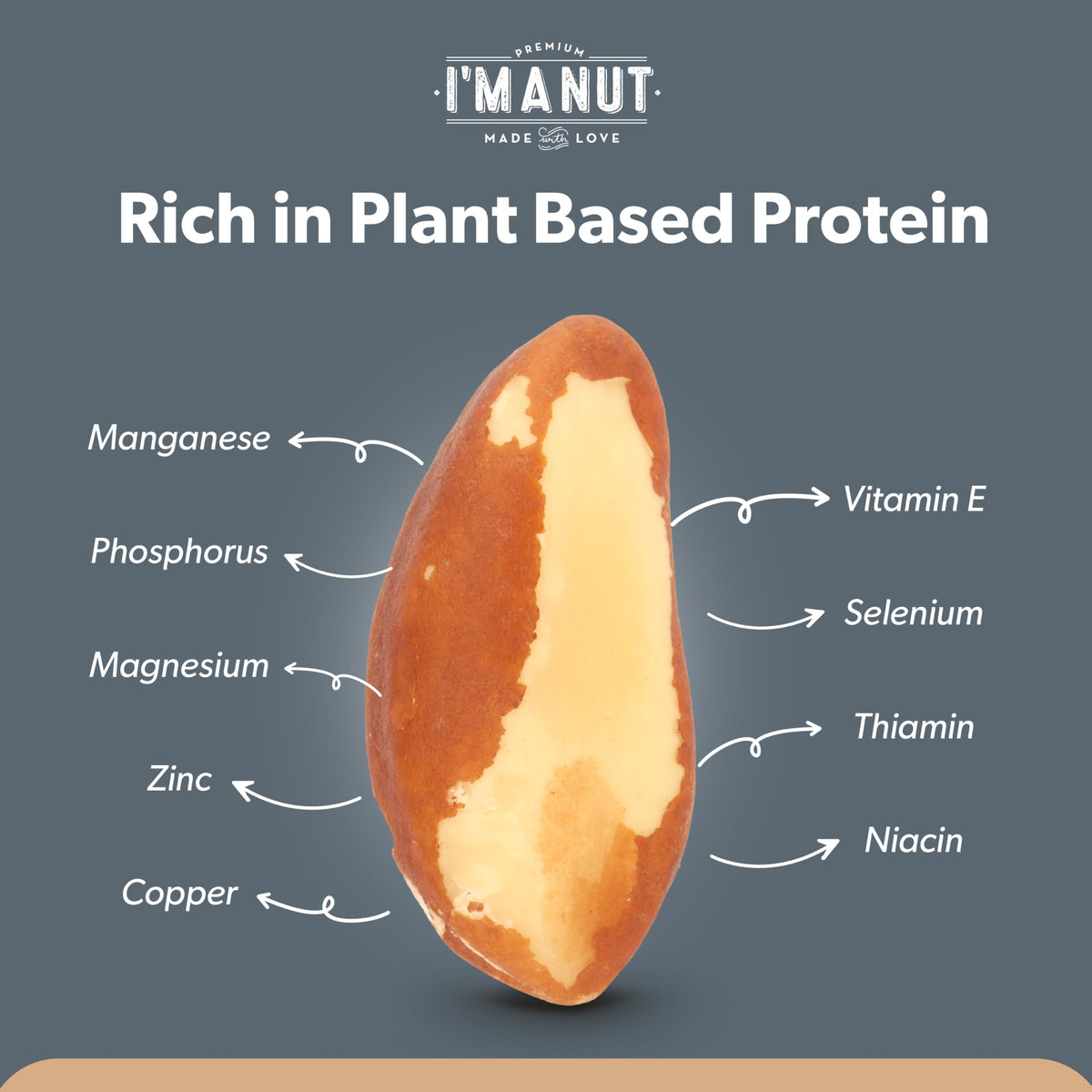 I'm A Nut Brazil nuts in a snack bowl showcasing natural crunch