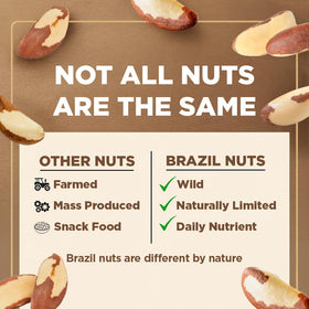 I'm A Nut selenium-rich snack for mindful treats.
