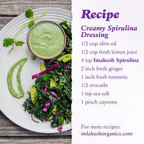 Imlak'esh Organics spirulina powder on a serving tray ready to add.
