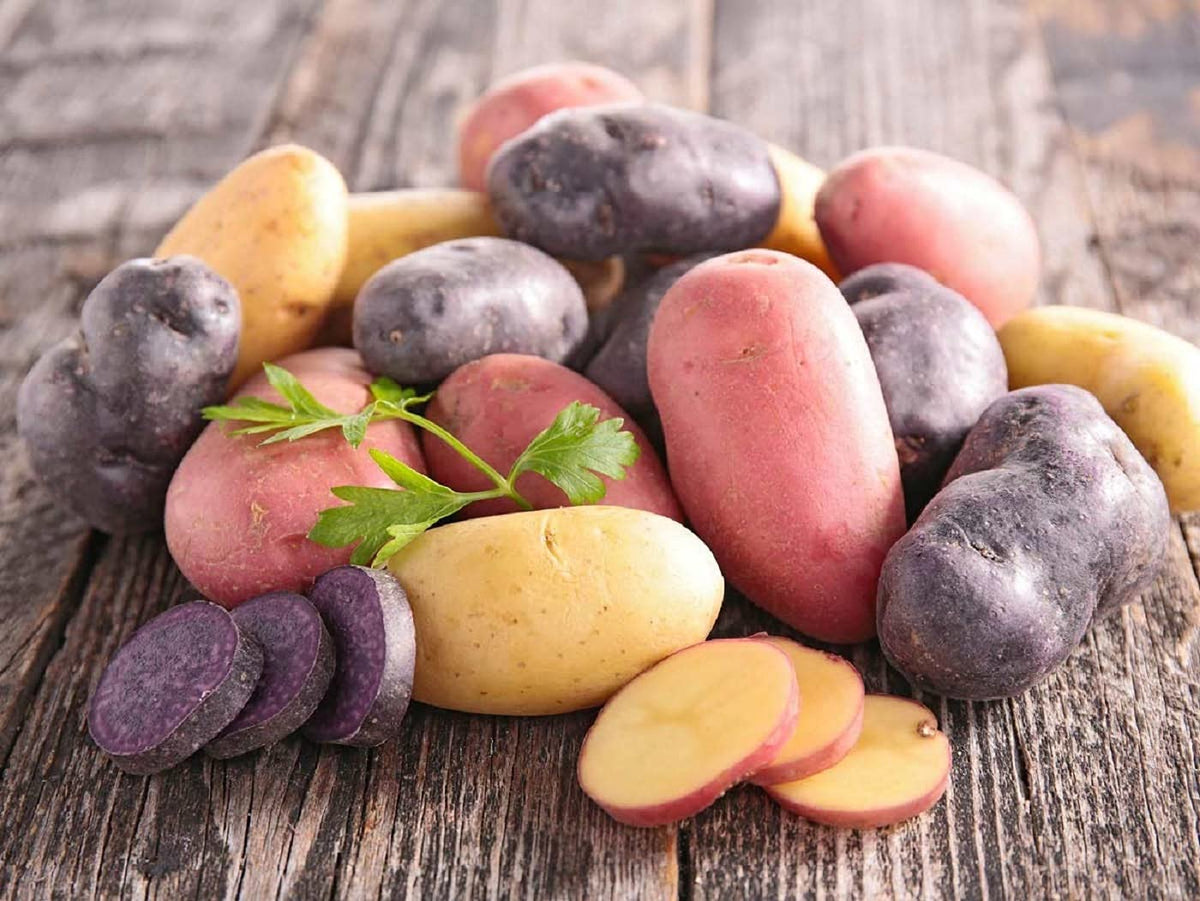 Imperial Taste sweet potato starch in a bowl, ready to thicken soups.