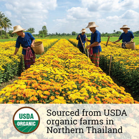 Incas Chrysanthemum Tea antioxidants and minerals in the infusion