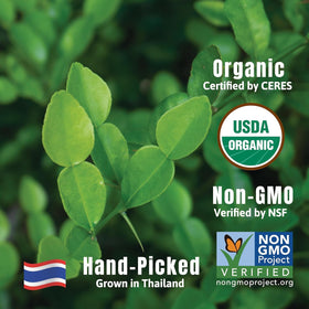 Incas kaffir lime leaves close-up aroma for fragrant Thai meals