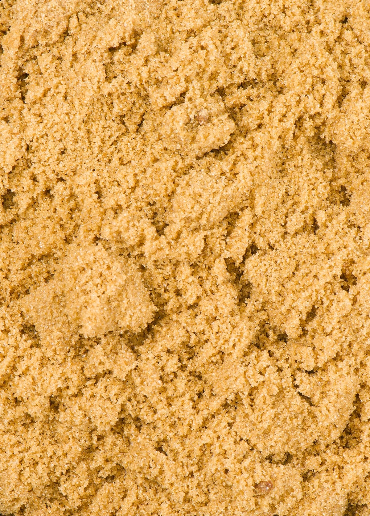 India Tree Light Muscovado granules closeup with rich molasses notes