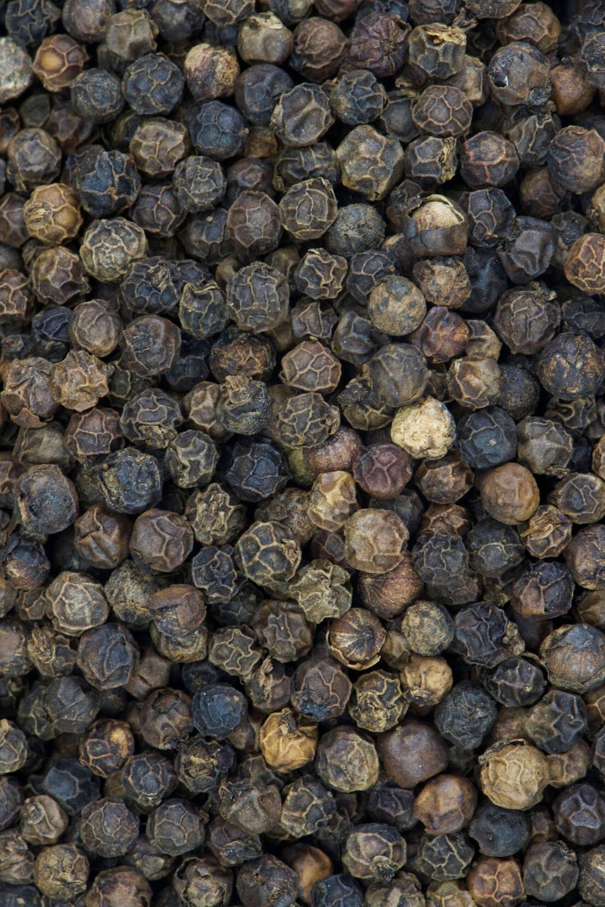 India Tree Tellicherry pepper ground in a grinder for immediate seasoning.