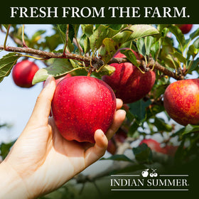 INDIAN SUMMER Chunky Applesauce Bowl Serve ideal for quick family snacks
