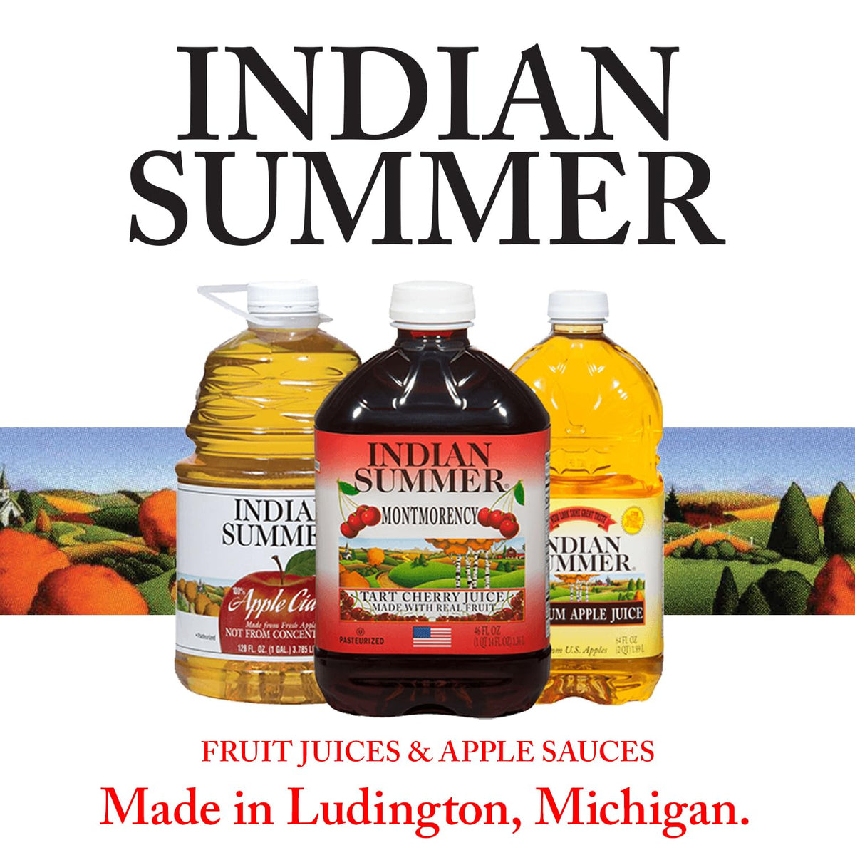 INDIAN SUMMER Chunky Applesauce Refrigerate After Opening reminder in image