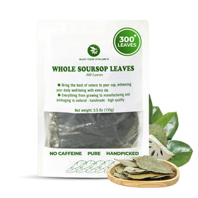Injoy Your Vitalgrin Soursop leaf tea handpicked leaves for a smooth, caffeine-free brew.