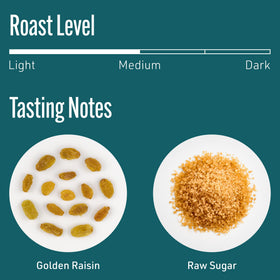 Intelligentsia Frequency Blend brewed cup inviting a smooth, balanced sip
