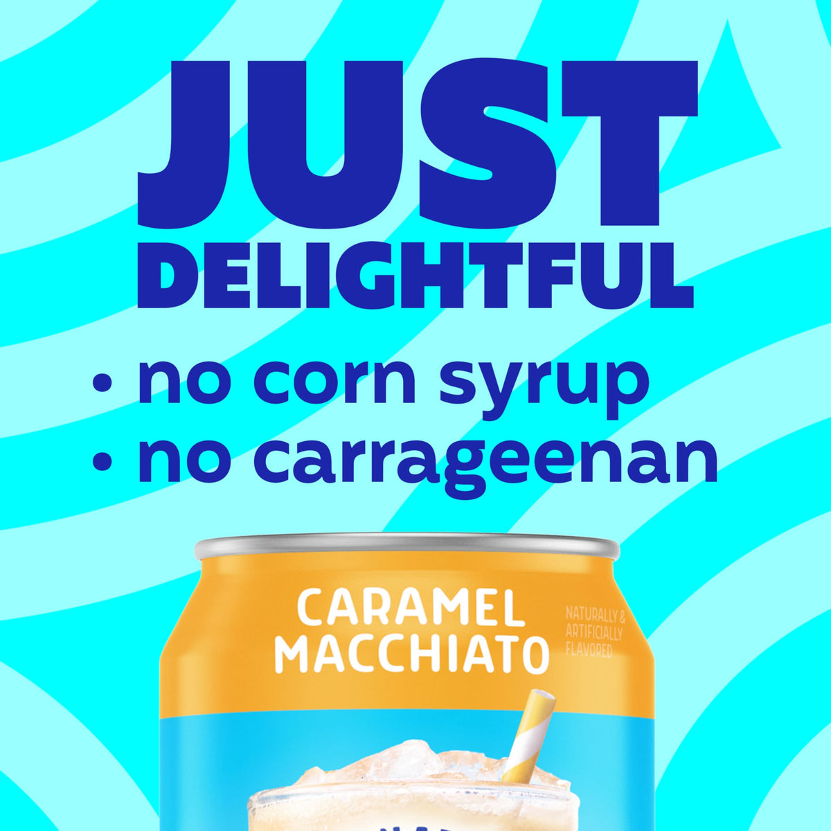 Fridge-ready International Delight Caramel Macchiato can for quick refreshment.