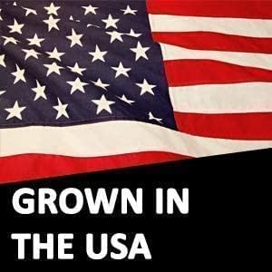 International Popcorn packaging-vegan-glutenfree-kosher label signals dietary options.