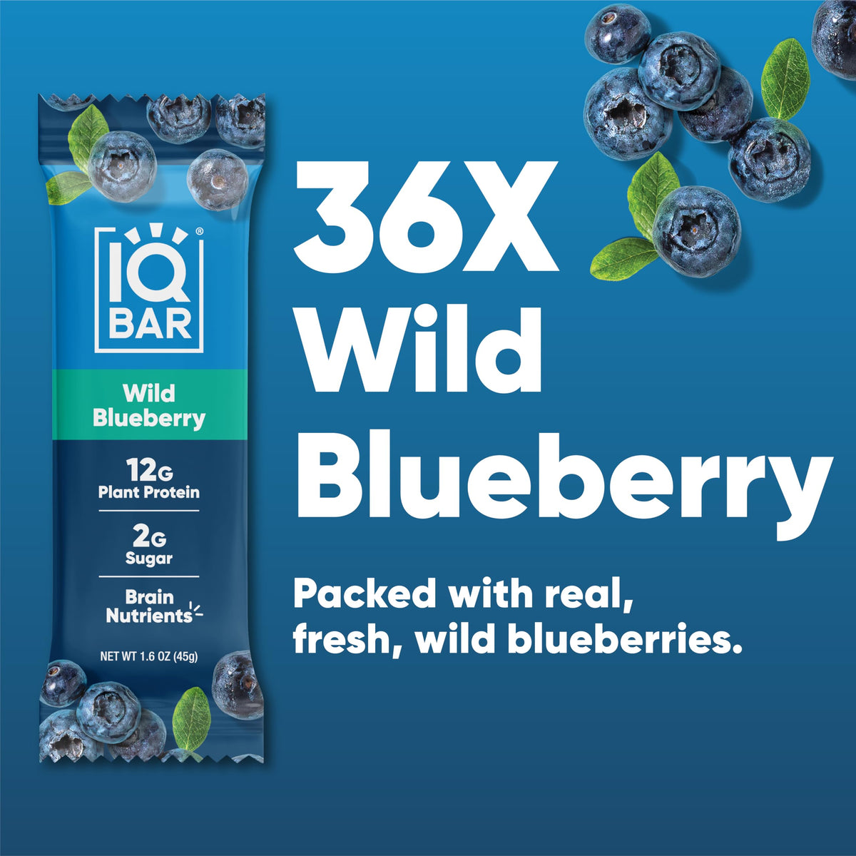 IQBAR Wild Blueberry bar on-the-go pack for busy mornings