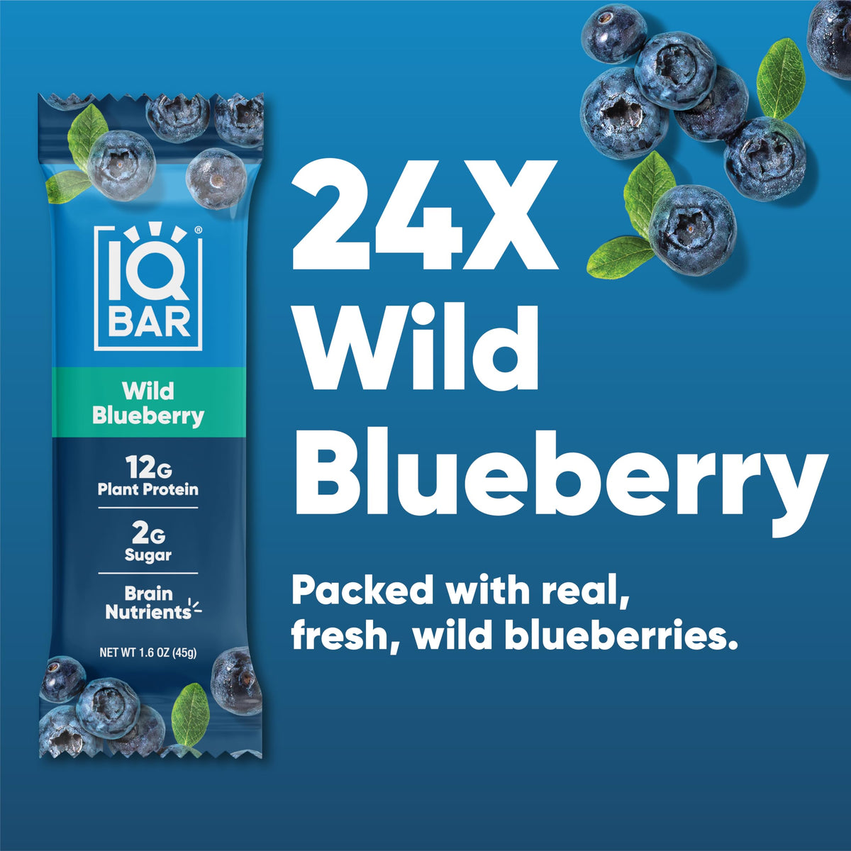 IQBAR Wild Blueberry travel pack ready for on-the-go snack.